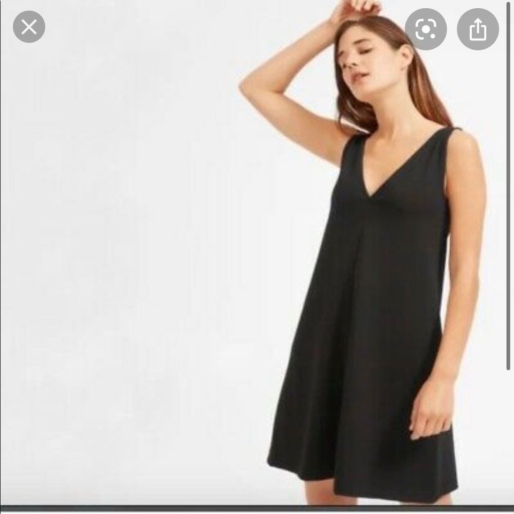 Everlane Deep V Dress